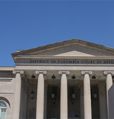 court resize